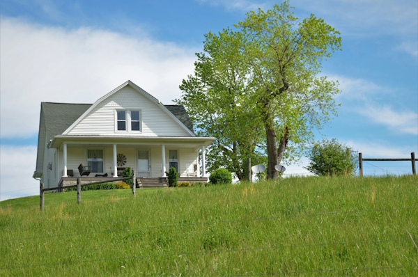 Hidden mould can harm both your health and property if left untreated